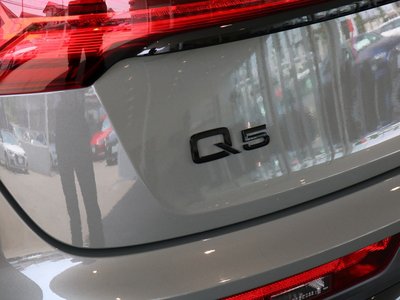 2025 AUDI Q5 SPORTBACK 缩略图 59