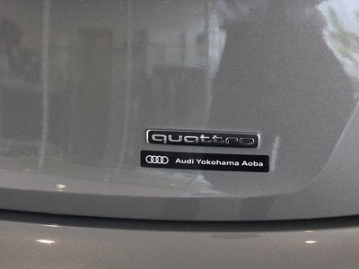 2025 AUDI Q5 SPORTBACK 缩略图 60