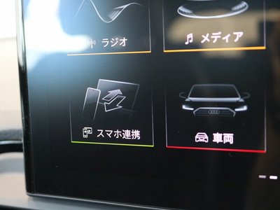 2025 AUDI Q5 SPORTBACK 缩略图 17