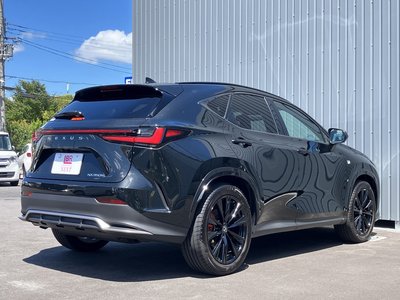 صورة مصغرة 32 لـ 2025 Lexus NX