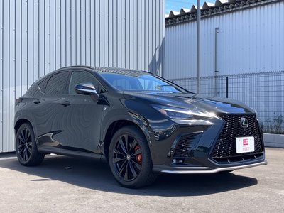 صورة مصغرة 30 لـ 2025 Lexus NX