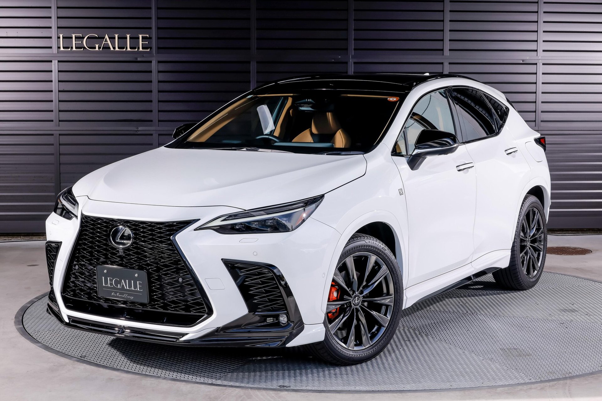 LEXUS NX - View 1