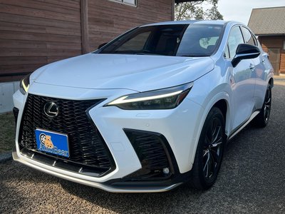 LEXUS NX - 2