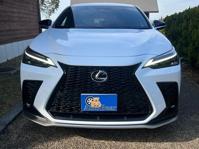 LEXUS NX - 3