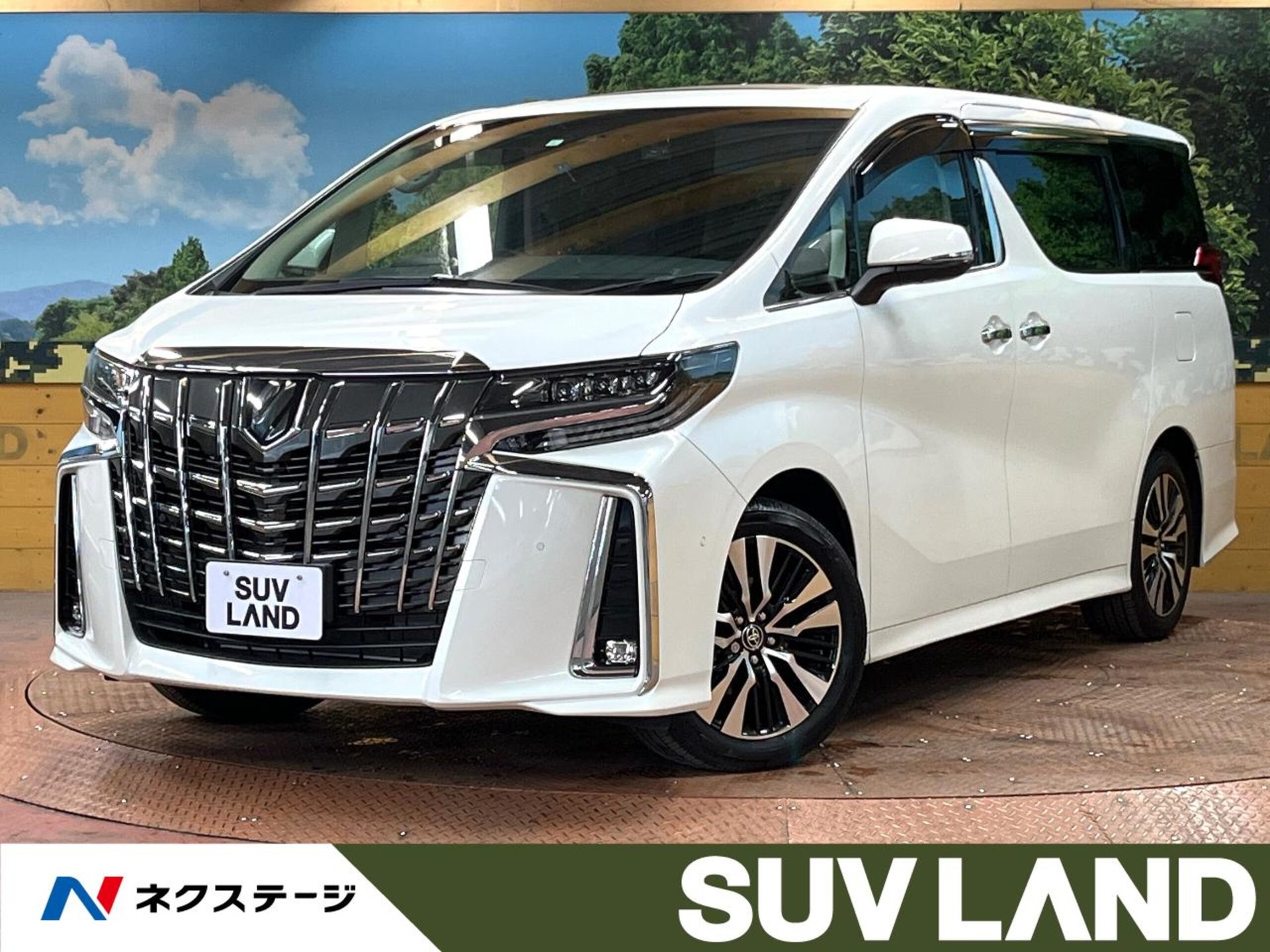 TOYOTA ALPHARD - View 1