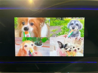 MERCEDES-BENZ G-CLASS - 5