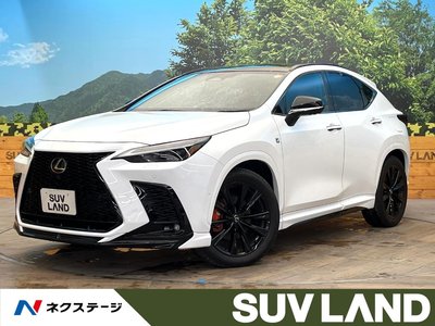LEXUS NX - 1