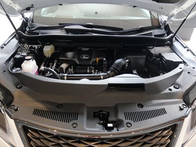 2020 Lexus RX 缩略图 19