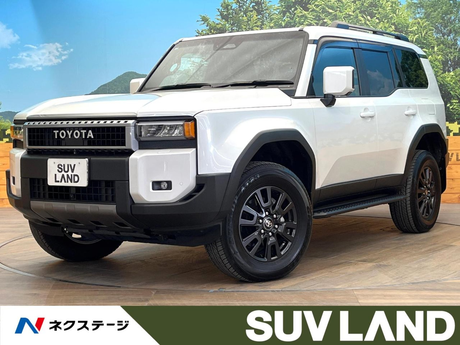 TOYOTA LAND CRUISER 250 - View 1