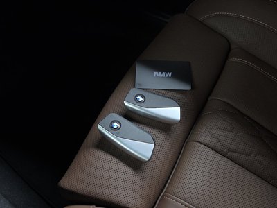 صورة مصغرة 32 لـ 2025 BMW X6
