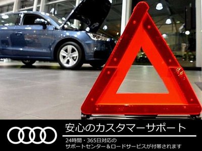 2025 AUDI E-TRON GT QUATTRO 缩略图 39