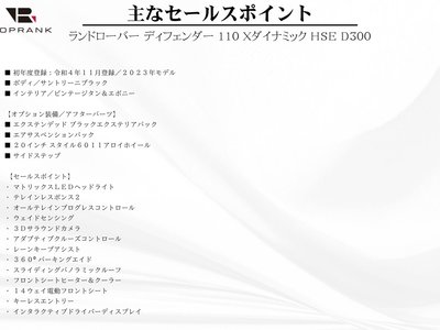 LAND ROVER DEFENDER - 10