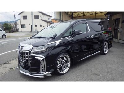 2018 TOYOTA ALPHARD photo 1