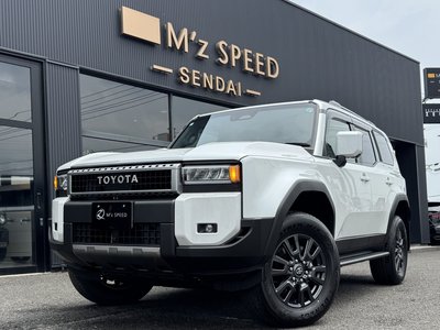 TOYOTA LAND CRUISER 250 - 10