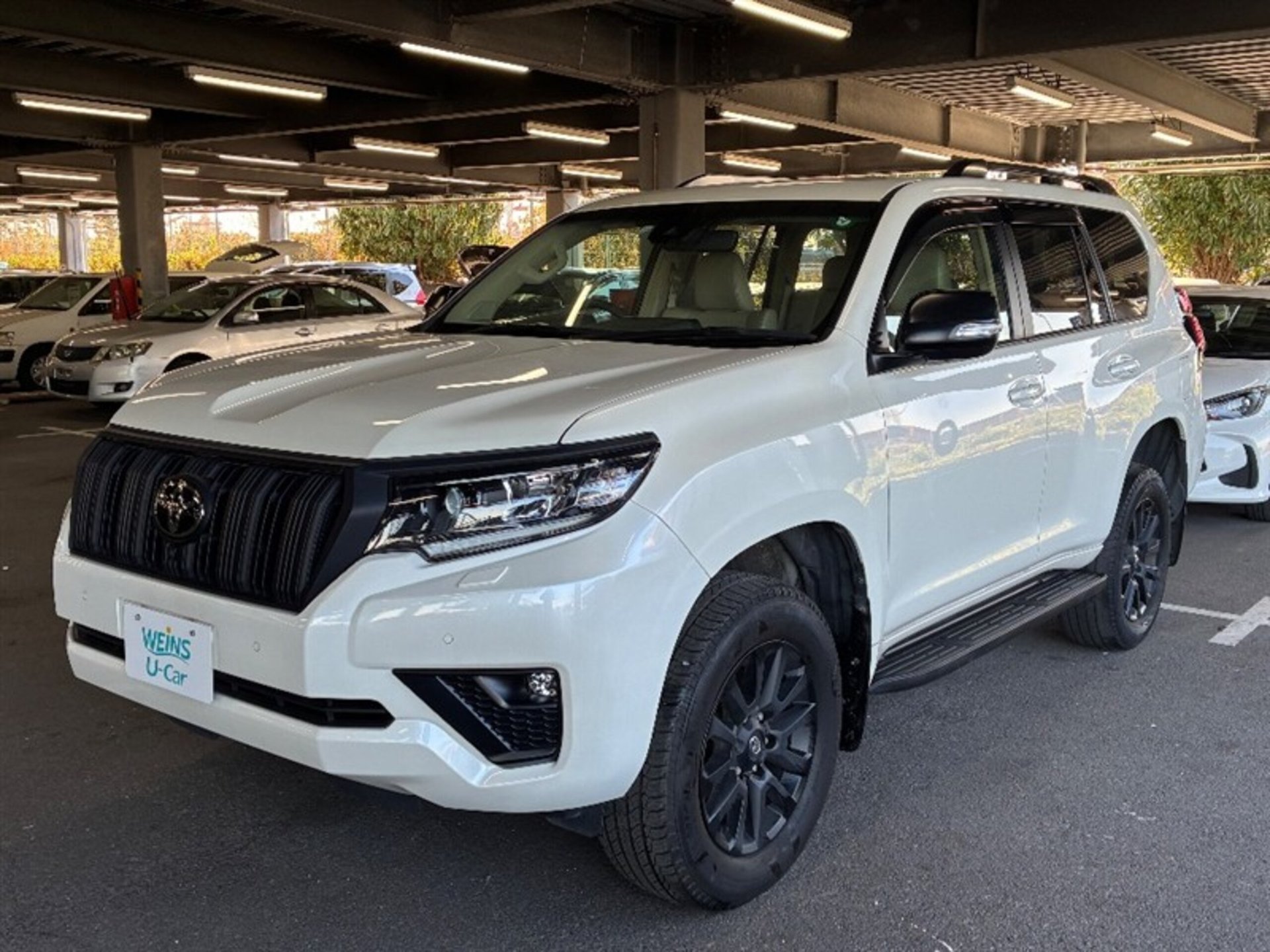TOYOTA LAND CRUISER PRADO - View 1