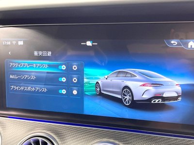 2024 Mercedes-BENZ GT AMG 缩略图 28