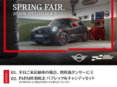 MINI MINI COUNTRYMAN - 2