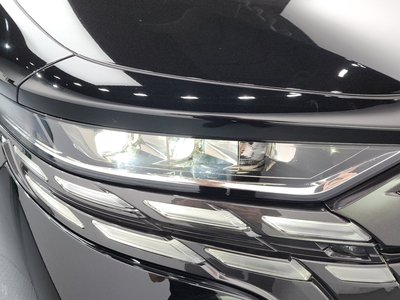 2024 Toyota ALPHARD 照片 9