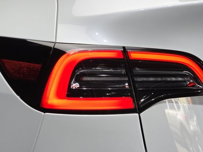 2022 Tesla MODEL Y 照片 10