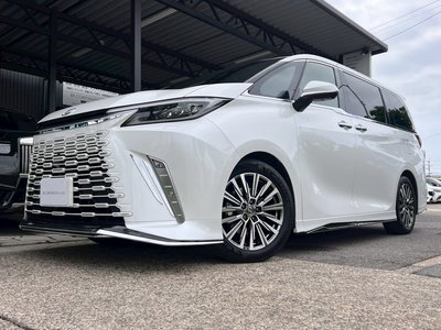 2025 Lexus LM 照片 2
