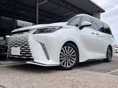 2025 Lexus LM 照片 1