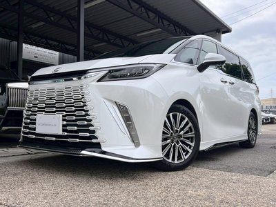 2025 Lexus LM 照片 6