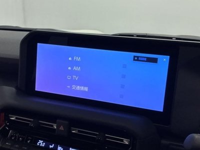 TOYOTA LAND CRUISER 250 - 5