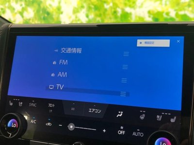 2025 Toyota ALPHARD 照片 10