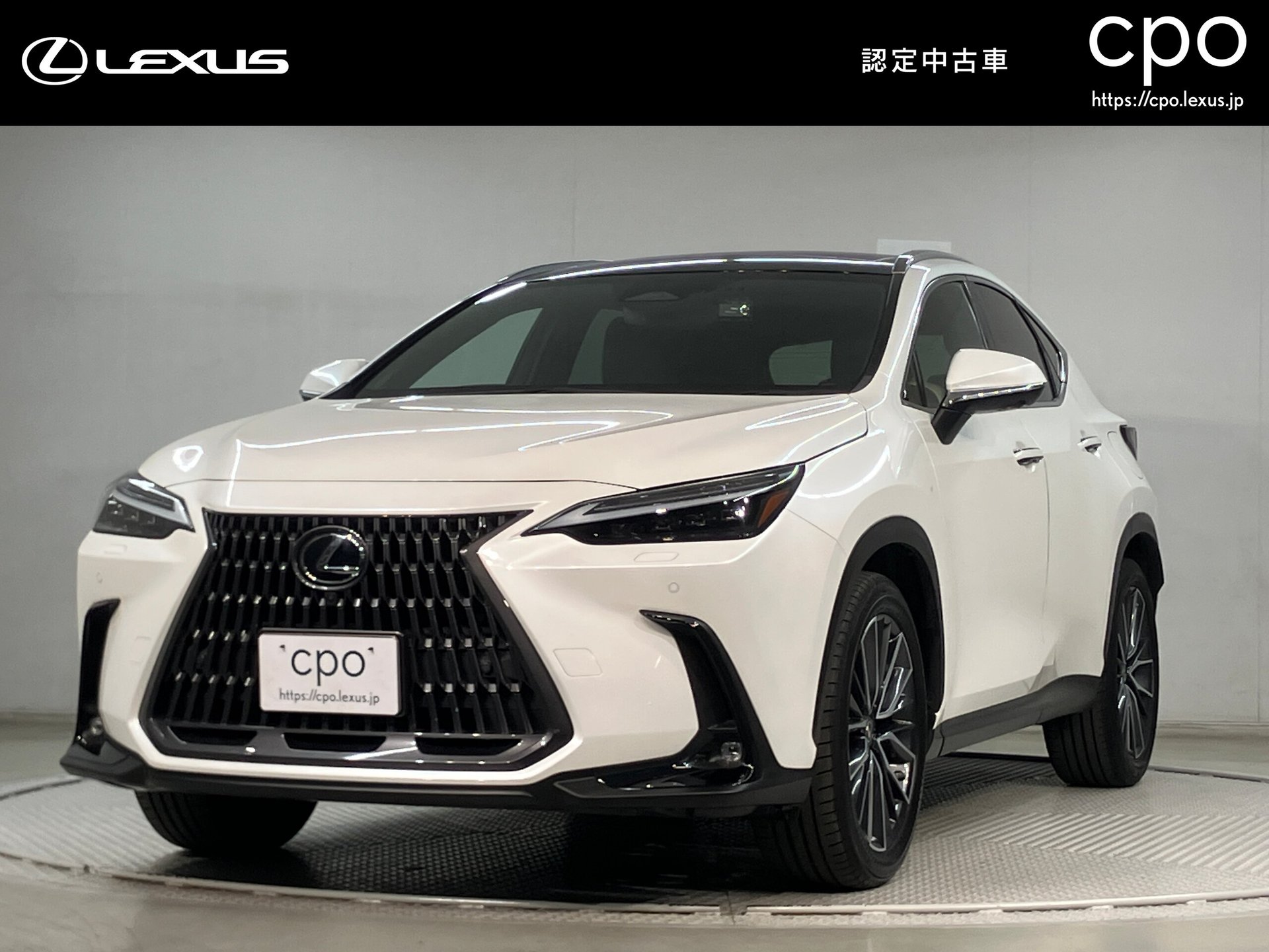 LEXUS NX - View 1