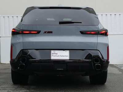 2025 BMW XM 缩略图 11