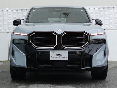 2025 BMW XM 照片 6