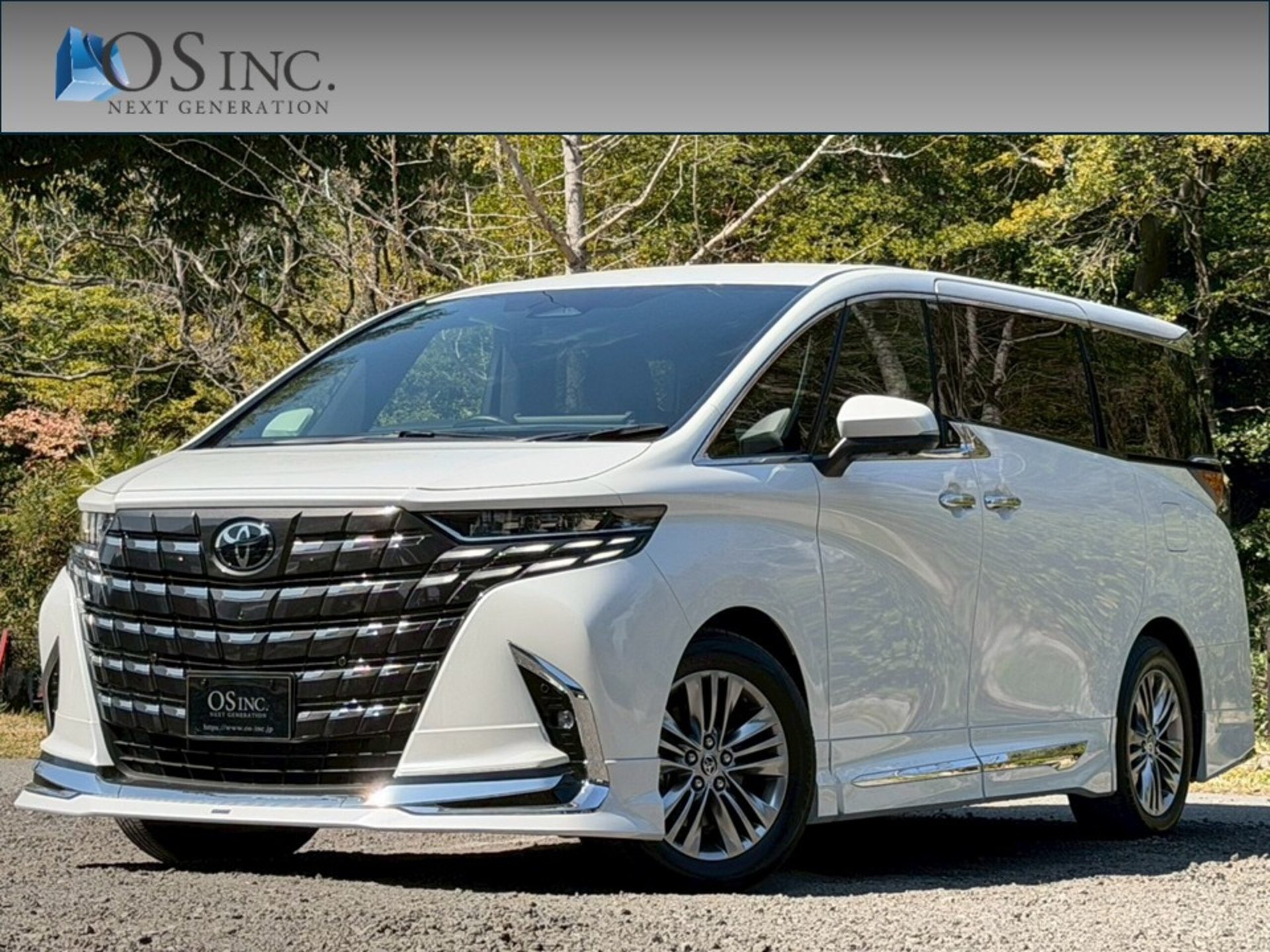 TOYOTA ALPHARD - View 1