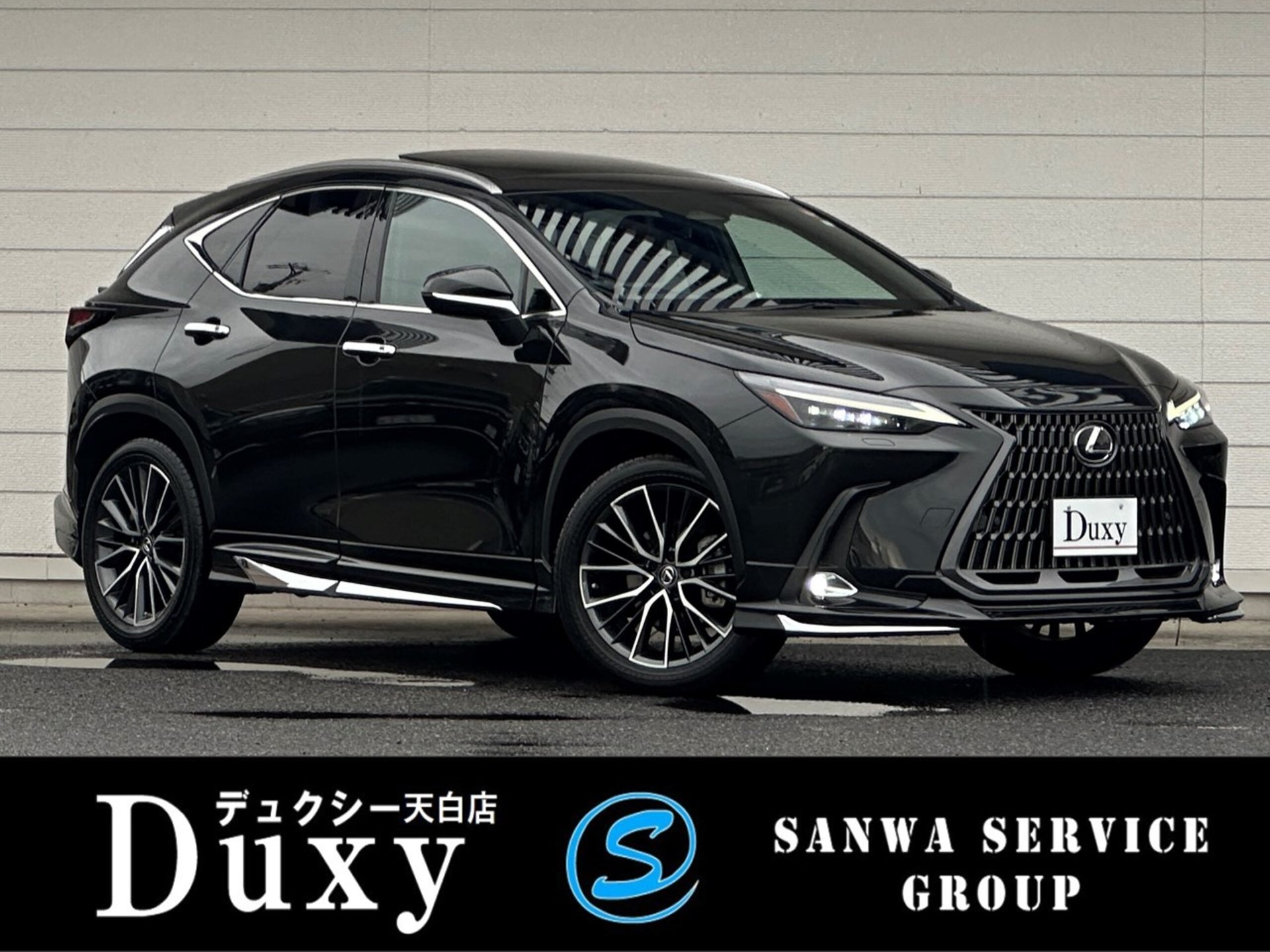 LEXUS NX - View 1