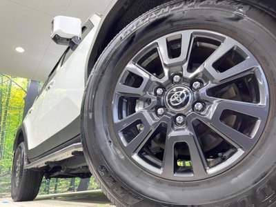 2024 Toyota LAND CRUISER 250 缩略图 14