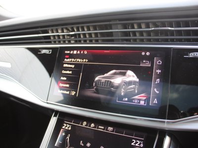 2025 AUDI Q8 缩略图 16