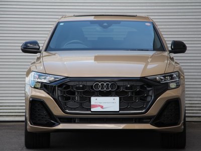 2025 AUDI Q8 照片 2