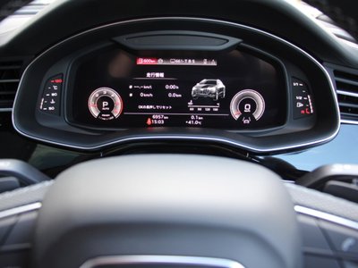 2025 AUDI Q8 缩略图 21