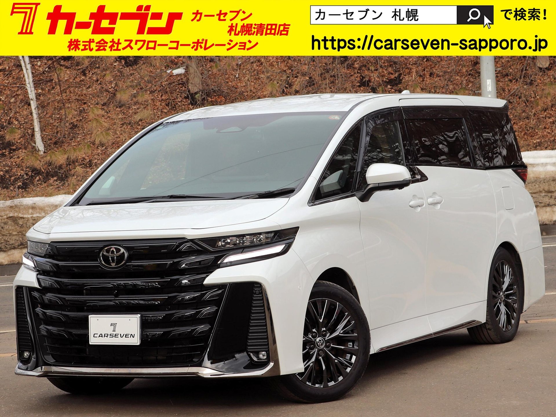 TOYOTA VELLFIRE - View 1