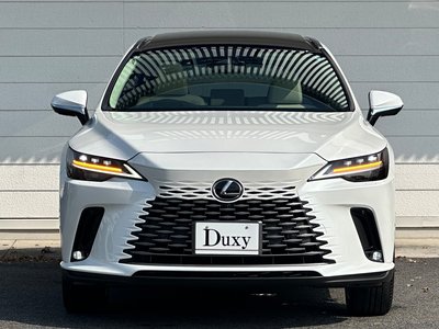 2025 Lexus RX — миниатюра 18