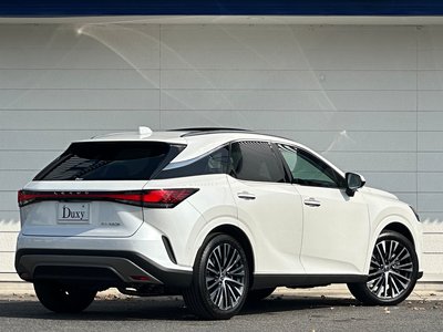 2025 Lexus RX — миниатюра 25