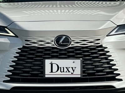 2025 Lexus RX — миниатюра 15
