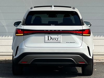 2025 Lexus RX — миниатюра 21