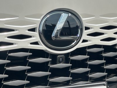 صورة 10 لـ 2025 Lexus RX