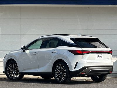 2025 Lexus RX — миниатюра 24