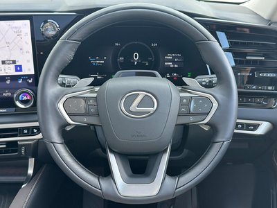 2025 Lexus RX — миниатюра 36
