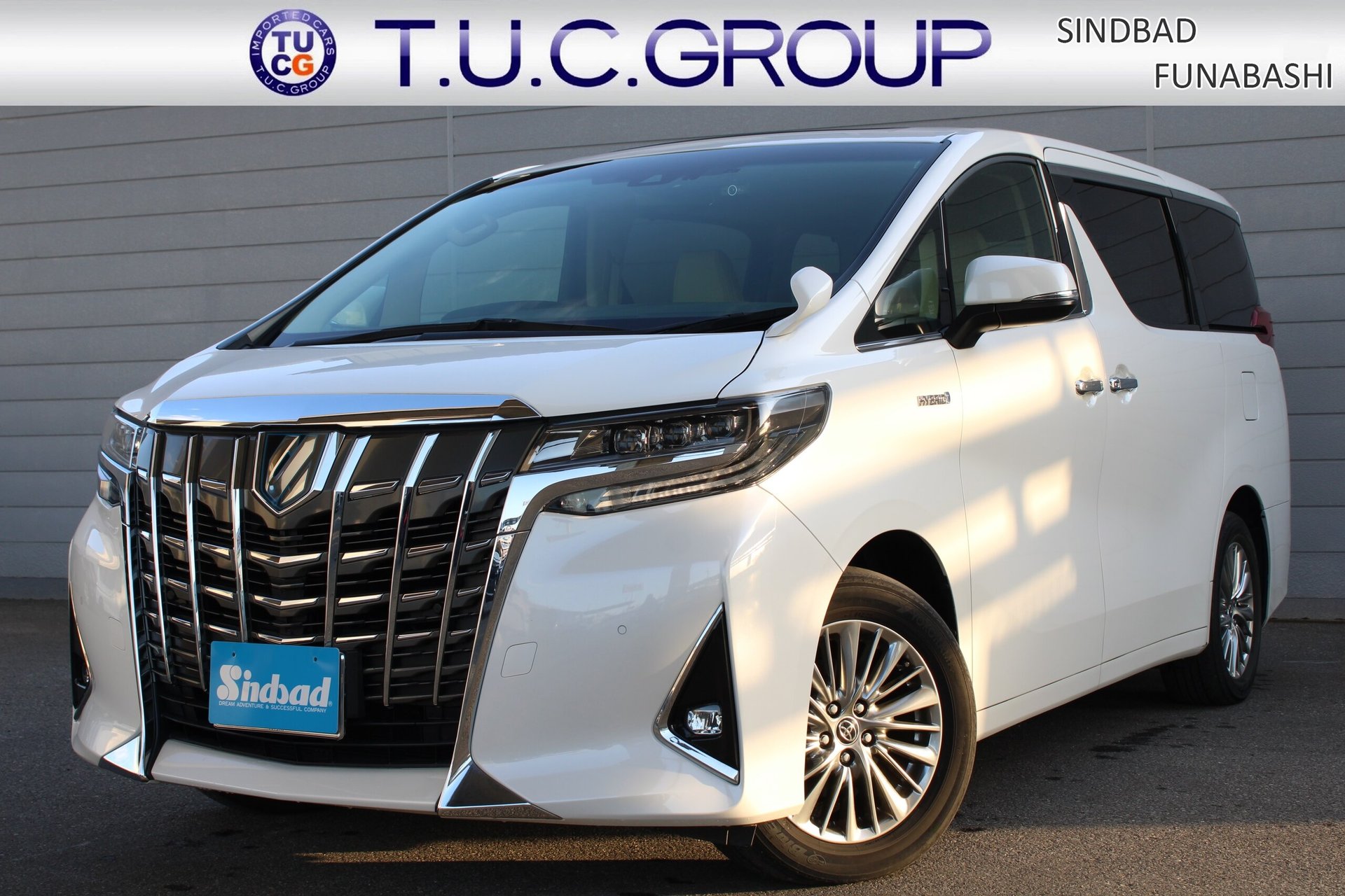 TOYOTA ALPHARD - View 1