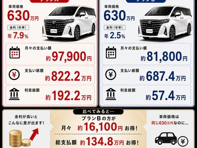 TOYOTA ALPHARD - 2