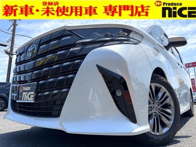 TOYOTA ALPHARD - 1