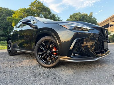 2025 Lexus NX — миниатюра 14