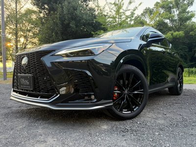 2025 Lexus NX photo 7